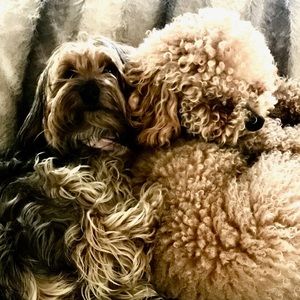 Meet your Posher, Dee dee